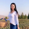 这天气不错，适合采茶[2张]