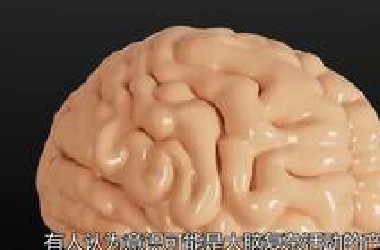 人体只是一堆肉，思想意识是从哪里来的？