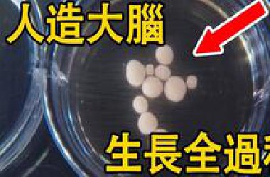 人造大脑竟然产生出灵魂？