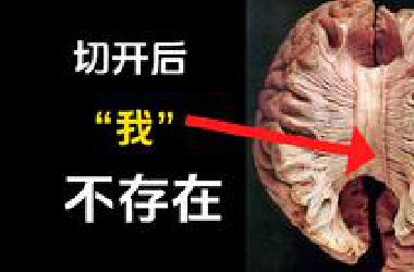 人类意识令人不安的真相 | 裂脑实验