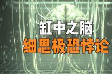 细思极恐的缸中之脑悖论，你该如何证明你是你？