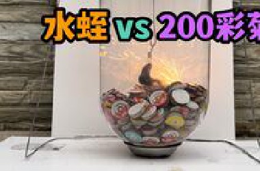 把一只大水蛭和200个彩菊烟花关一起！会发生什么事？