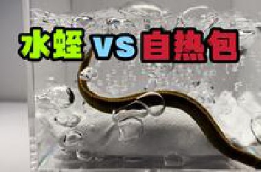 把一只大水蛭和自热包关一起！会发生什么事？