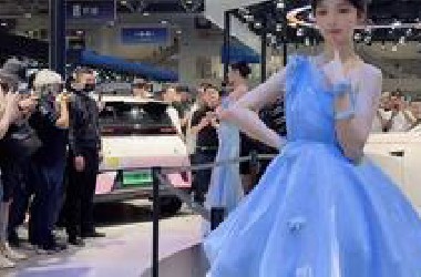 2025深港澳车展车模录屏   小面包
