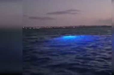 最新UFO震撼目击合集！