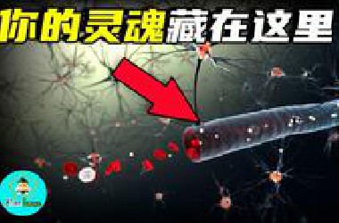 灵魂一半在大脑一半在宇宙！诺奖科学家揭示意识真相