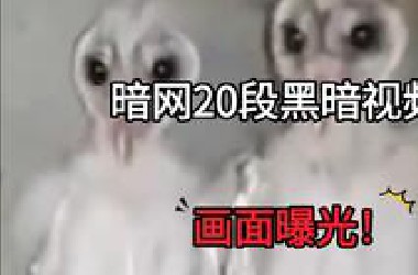 暗网20段黑暗视频！画面曝光！