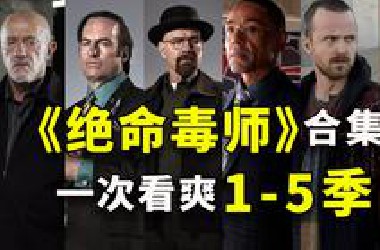 【阿斗】爆肝4个月，世界评分最高的电视剧一次看爽！详细解说《绝命毒师》1-5季