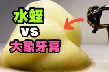 当一只大水蛭遇上大象牙膏！会发生什么事？