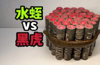 把一只大水蛭和黑虎轰击炮绑一起！会发生什么事？