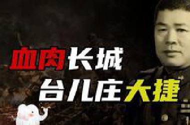 台儿庄战役：用血和肉守卫我们的1平方公里【抗战史】