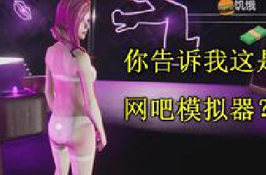 你告诉我这游戏是网吧模拟器？