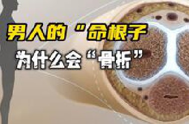 男人的“命根子”里没有骨头，为什么还会折断？