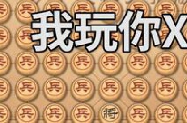 这是活生生把象棋完成了围棋啊！！！