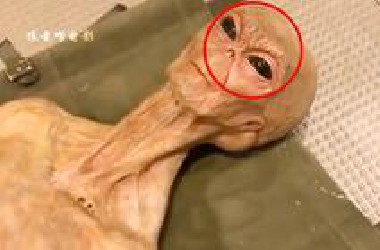 一段电s外星人的录像曝光，让所看之人无不大惊失色