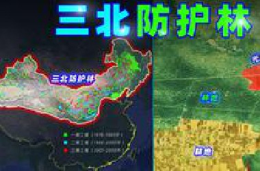 4亿人集体“吃土”，三北防护林，建成什么样了？