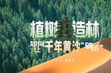 逆天改命！植树造林如何让千年黄沙“破防”？