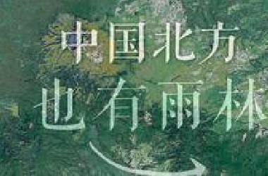 和‘哈尔滨’同纬度的地方，为啥也有雨林？！