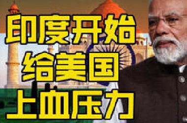 印度给美国整麻了