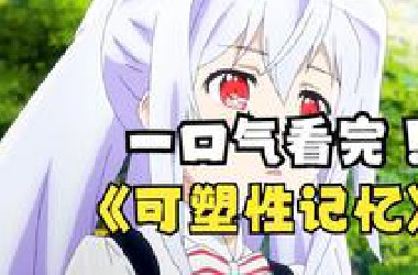 一口气看完【可塑性记忆】，记忆是可塑性的，回忆是永恒的