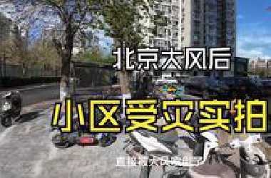 北京大风后，小区受灾实拍！