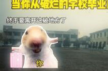 当你从破烂的学校毕业后