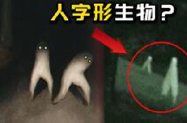 监控拍到“人字形生物”是传说中的夜行者吗？