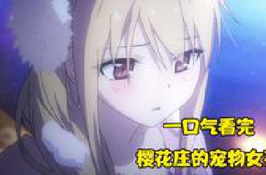 一口气看完《樱花庄的宠物女孩》