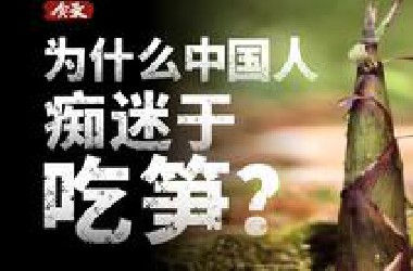 为什么除了中国，很少有国家吃笋呢？
