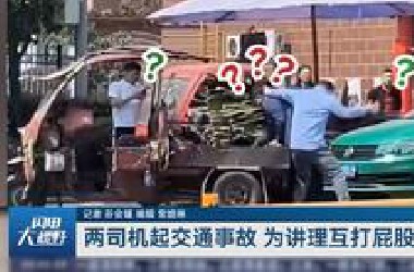 2024沙雕新闻年度合集，今年最沙雕的新闻采访都在这里了哈哈哈哈 ！