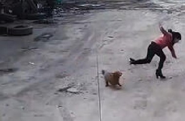 笑死，根本笑不死