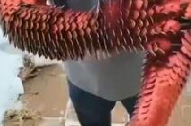 盘点反人类奇葩设计
