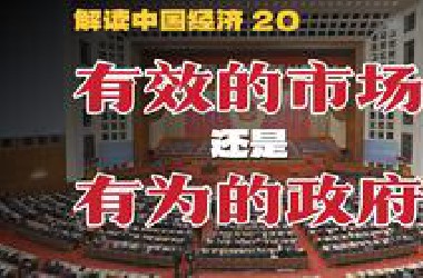 放任市场or强化政府？经济腾飞的真相到底是什么！【解读中国经济20】