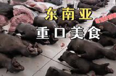 东 南 亚 ：重 口 味 美 食【吃 饭 时 别 看】