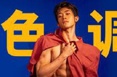 高级审美都在遵守的色调法则是什么？【晓观】