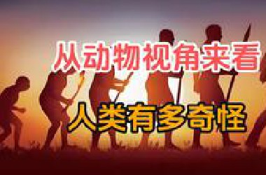 从动物的视角看人类有多奇怪？