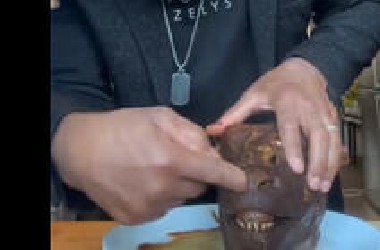 《 暗 网 美 食 大 赏 》❶