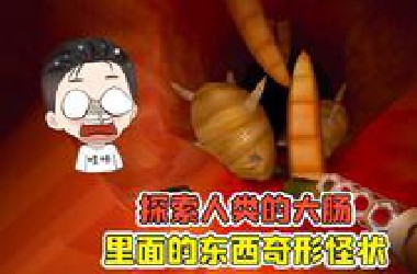 探索人类的大肠？里面的东西奇形怪状，实在太下饭了！