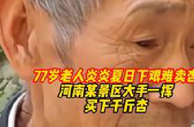 河南文旅上大分！77岁老人炎炎夏日下艰难卖杏，河南某景区大手一挥买下千斤杏：免费送给游客，让游客感受栾川的水果
