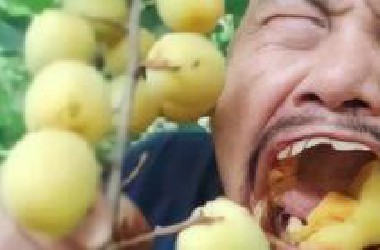 这TM才叫做带货鬼才