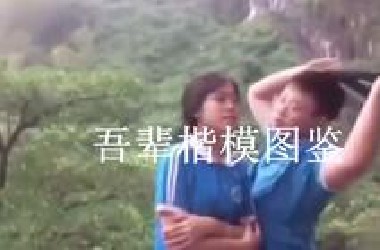 吾 辈 楷 模图鉴