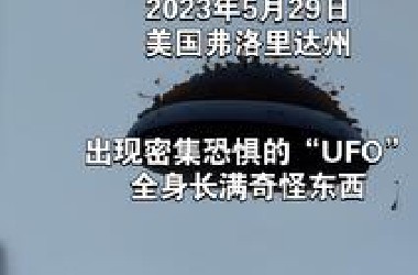 2023年5月29日美国弗洛里达州出现密集恐惧“UFO”，全身长满奇怪东西
