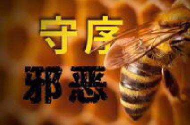 蜜蜂：来自混沌的守序