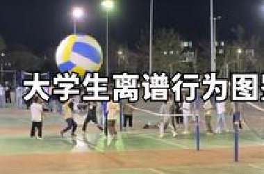 大学生离谱行为图鉴