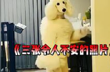 三张奇怪的照片