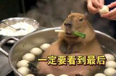 前面没笑的，看到后面那个紫薯精，真忍不住了哈哈哈！