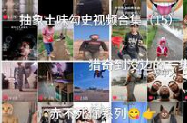 抽象土味勾史视频合集（15）赤不死你系列 猎奇到没边了