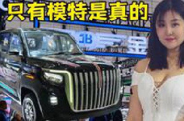 抽象车展，全是老头乐