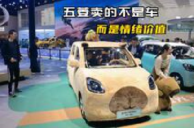2025上海车展|五菱卖的不是车，是情绪价值！