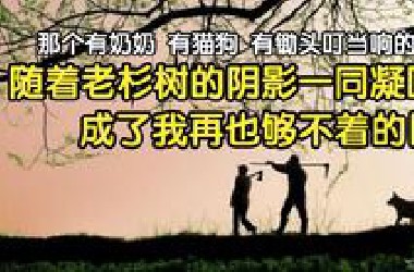“那个有**、有猫狗、有锄头叮当响的岁月，早已在某个午后，随着老杉树的阴影一同凝固，成了我再也够不着的旧梦”，瓶子：我们42062乡土文学这块真不赖的